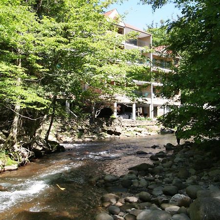 Park Place Condos Гатлинбург Экстерьер фото